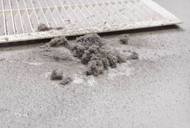 Best Air Duct Mold Removal  in Wentzville, MO