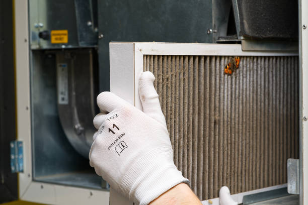 Best Air Duct Cleaning Company Near Me  in Wentzville, MO